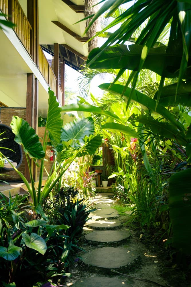 Tropical jungle garden and lounging corner at Villa Cali Siargao