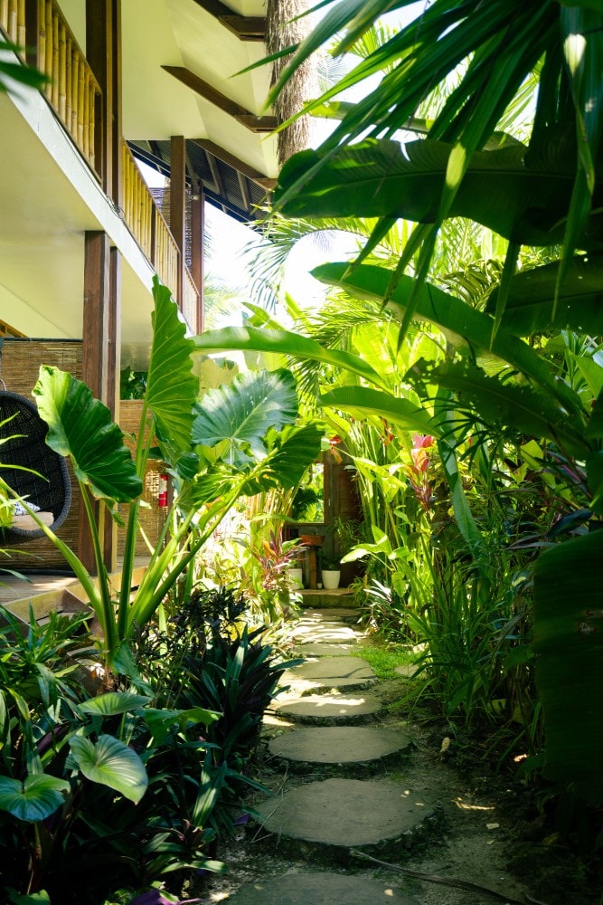The lush tropical jungle garden at Villa Cali Siargao in General Luna