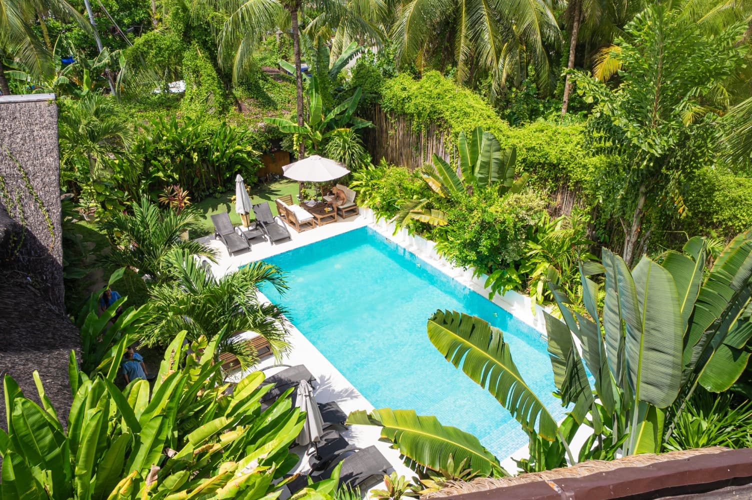 Outdoor pool ringed by palms and tropical garden at Villa Cali Siargao